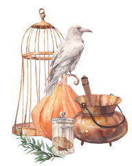 Watercolor magic illustration: white raven, mushrooms in jar, pumpkin, cauldron. Halloween witchcraft composition. Isolated on white background