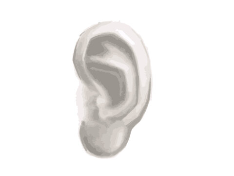 vector illustration of engraving human ear on white background