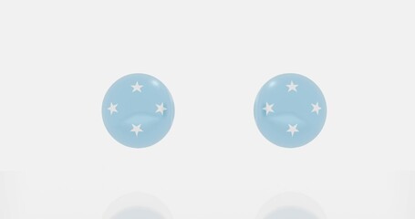 Federated States of Micronesia flag icon or symbols