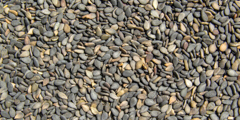 black sesame seeds close up. background with the image of black sesame. Banner for insertion into site.