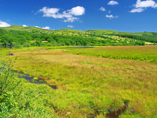 晩夏の湿原（長野県・八島ヶ原湿原）