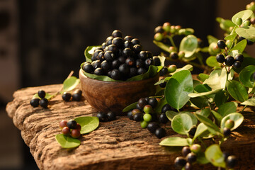 Karwanda Karonda Indian Wild Berry