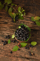 Karwanda Karonda Indian Wild Berry