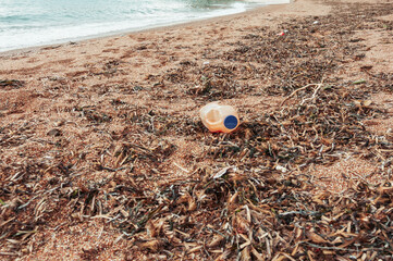 Obraz premium garbage on the seashore,plastic bottles and a lot of algae on the sand