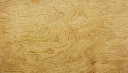Photograph of the Sanded Surface of a Plywood Sheet. Suitable for Design and Other Projects