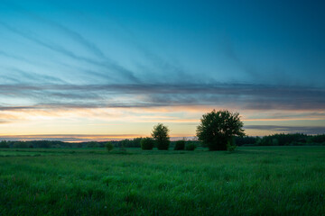 Obraz premium Evening sky after sunset over a green meadow