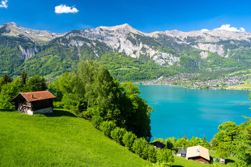 alpine landscape with green meadow and wooden hut over Brienz lake in Switzerland