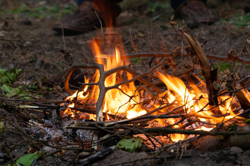 Ognisko rozpalone w lesie biwaku - obrazy, fototapety, plakaty