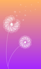 Dandelion abstract vector. Template for background, poster, wallpaper. Vector illustration.
