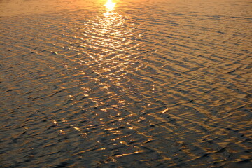 beautiful nature yellow light in the evening the sun is setting