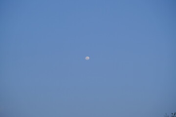 moon in the sky