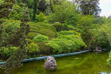 Area with Japanese plants at the botanical garden of Rome, Italy.