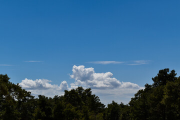 Fototapeta premium Cielo