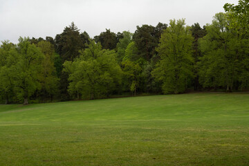 Fototapeta na wymiar park with a large clipped meadow