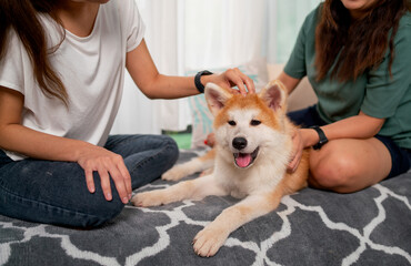 Couple women enjoy to play with dog at home together and sometimes they pat to fur of the dog....