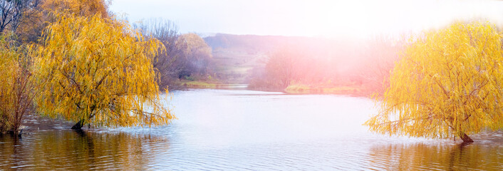 Autumn landscape with yellow willows by the river in sunny weather. Golden autumn © Volodymyr