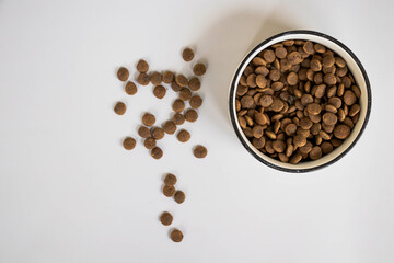 Top view on bowl with healthy dry pet food on light background. Copy space. Animal care, animal friendly concept. Cat food. Tasty and crunchy pieces of food.