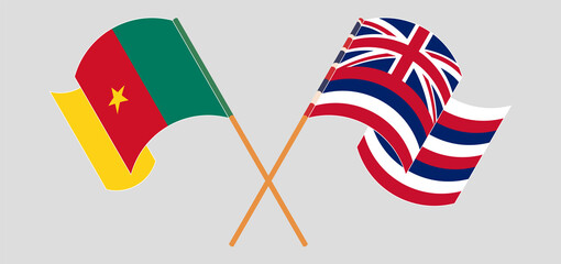 Crossed and waving flags of Cameroon and The State Of Hawaii