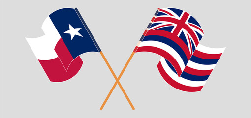 Crossed and waving flags of the State of Texas and The State Of Hawaii. Vector illustration
