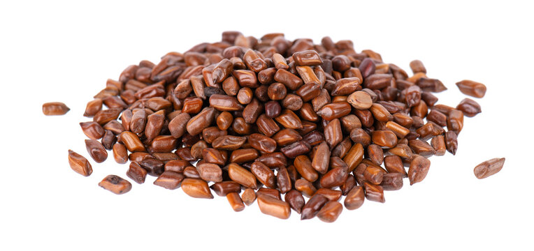 Cassia tora beans isolated on white background. Sicklepod or Senna obtusifolia. Clipping path.
