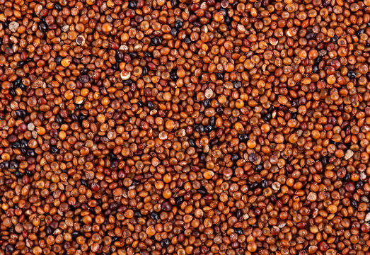 Canihua grains background. Qaniwa, qanawa, qanawi or kaniwa seeds. Dry grains of chenopodium pallidicaule. Top view.