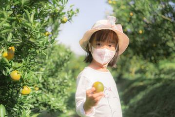 Asian kid girl wearing a mask and a straw hat holding fresh orange in farm.