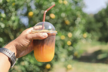 Close up hand of man holding glass of ice coffee mixing orange yuzu juice with orange farm bokeh...