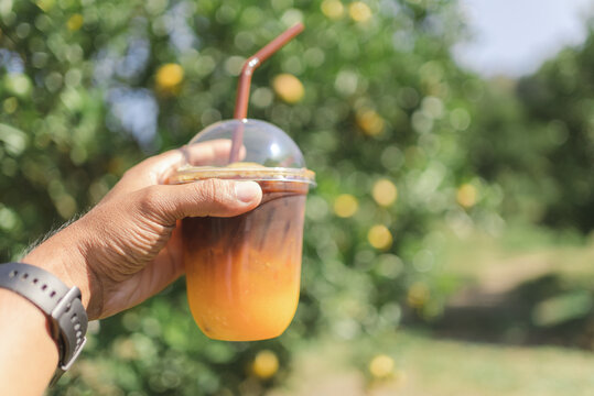 Close Up Hand Of Man Holding Glass Of Ice Coffee Mixing Orange Yuzu Juice With Orange Farm Bokeh Background.