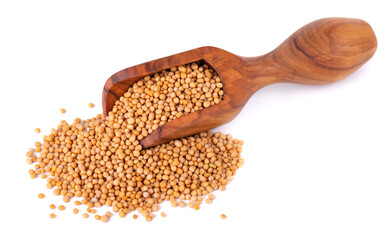 Mustard seeds in olive scoop, isolated on white background. Pile of dry mustard grains.