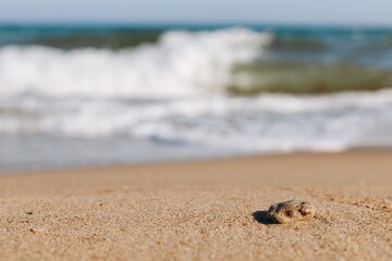 stones by the sea on a background of sea waves