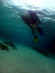                    underwater scene , scuba divers , caribbean sea , Venezuela     
