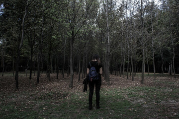 Walk in the woods