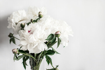 large beautiful bouquet of white peonies on a white background in a transparent glass vase