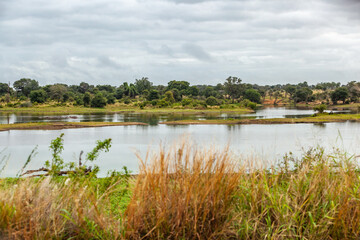 Small lake in the banks of the Olifants river, Kruger park, South Africa.