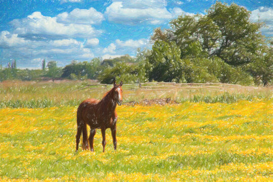 Crayon sketch image of beautiful countryside landscape with grazing horse on blooming pasture