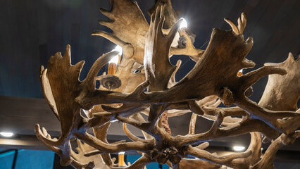 Unusual chandelier made of deer horns or antlers hanging indoors of home or hotel. Suspension light made from horn.