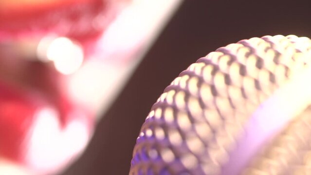 Macro of microfone and girl talking