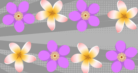Obraz premium Image of pink and purple flowers on spinning grey stripes in background