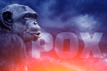 Monkeypox outbreak. A dangerous infection is spreading all over the world. The new pandemic is...