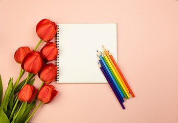 Red tulips on a light pink background with an empty notebook with colored pencils. Rainbow pencils against a white background with space for copy. Education and business concept.