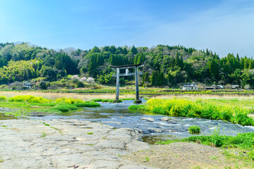 原尻の滝「春風の季節・鳥居と小川風景」
Harajiri Falls 