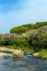 原尻の滝「春風の季節・吊橋風景」
Harajiri Falls 