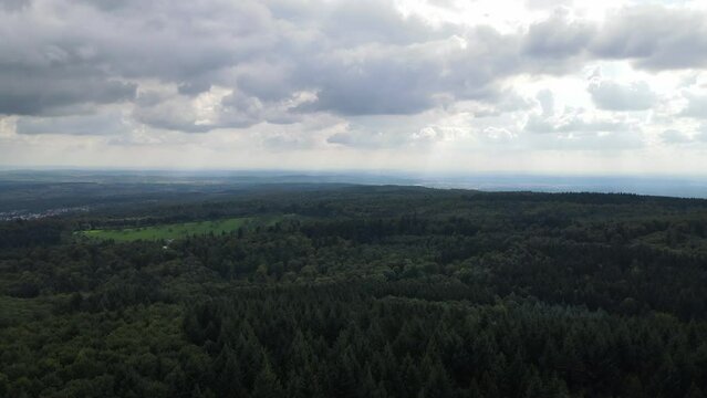 Aerial view of Humberg tower in the forest in Kaiserslautern Germany