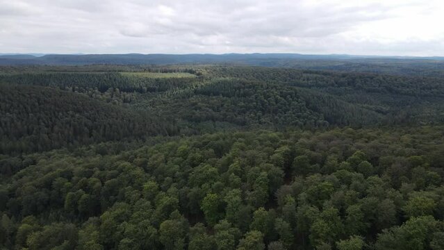 Aerial view of forest covering mountains in Kaiserslautern Germany