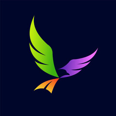 bird logo with colorfull concept