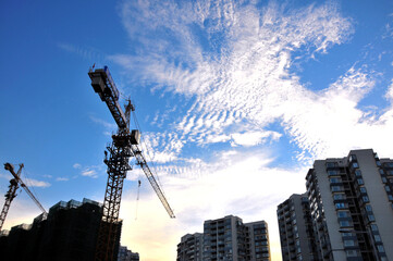 construction site with cranes