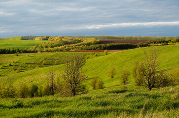 Beautiful landscape of expanses of green hills. Tatarstan, Russia
