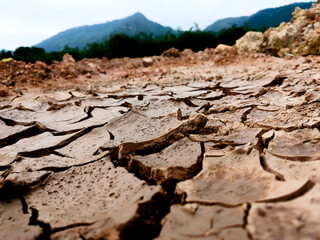 dry cracked earth