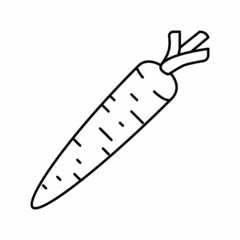 carrot vegetable line icon vector illustration