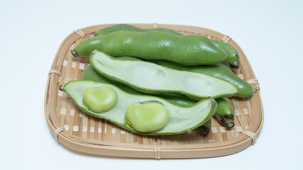 そらまめ・Fava beans